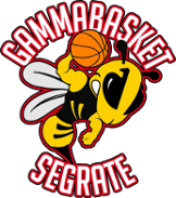 Gamma Basket
